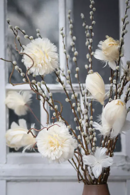 Hovedbilde Fjærblomst vanilje