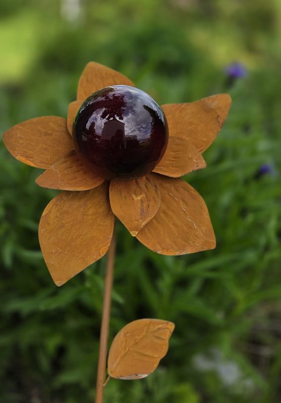 Blomsterpinne rust 