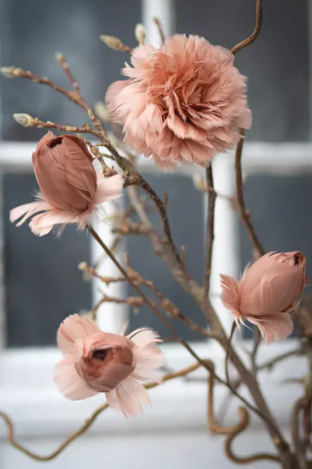 Hovedbilde Fjærblomst gammelrosa
