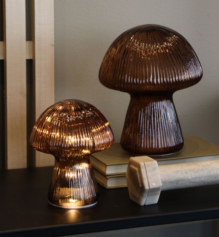 Sopp led brun, Stor
