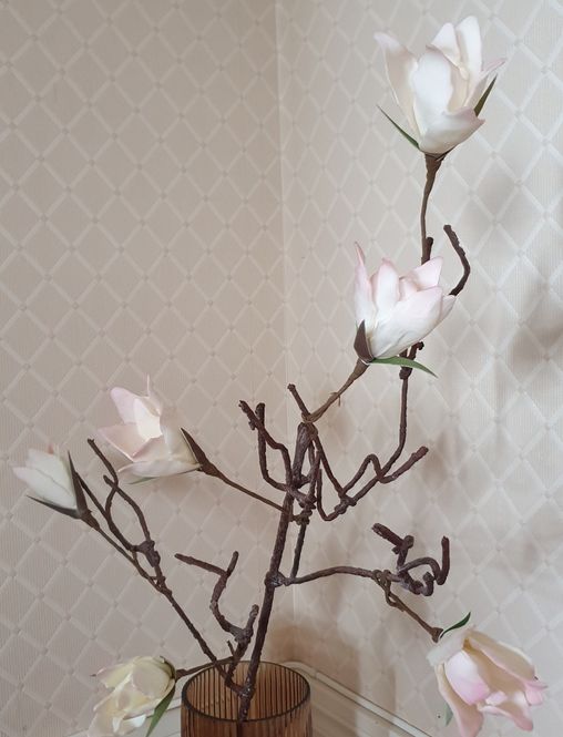 Hovedbilde Kvist magnolia lys rosa 