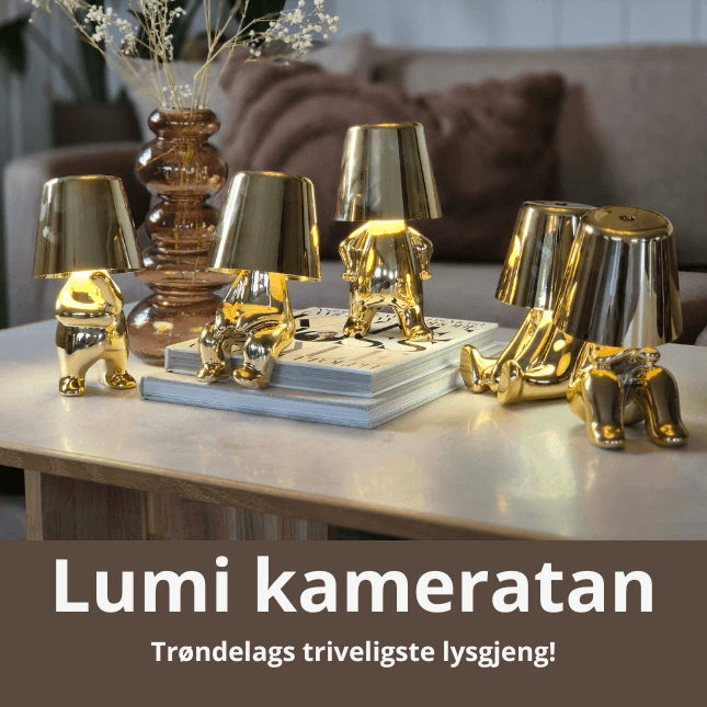 Lumi